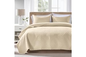 FLYMME Queen Quilt Bedding Set Beige Lightweight Bedspreads Full Size,Soft Microfiber Bed Coverlet for All Season (1 Quilt, 2 Shams)