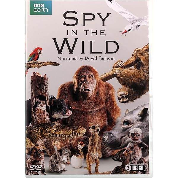 Amazon.com: Kid Guides: Zoo [DVD] : Matt & Brittney, Echo