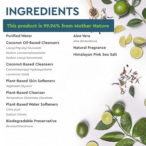 PURACY NATURAL DISH SOAP REFILL, SKIN-SOFTENING PLANT-BASED LIQUID DISHWASHING DETERGENT SOAP, CLEAN-RINSING WATER-SHEETING FORMULA, (GREEN TEA AND LIME 48 OZ)