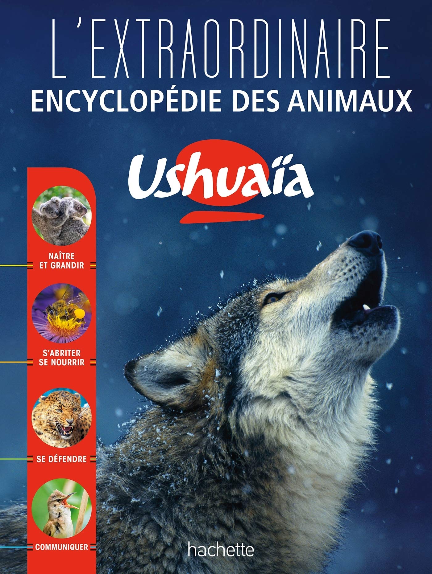 L Extraordinaire Encyclopedie Ushuaia Des Animaux French Edition Collectif 9782012903791 Amazon Com Books