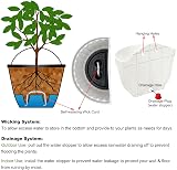 ORIMERC 4 Pack Wall Planters Vertical Garden Indoor Outdoor Pots White view 9