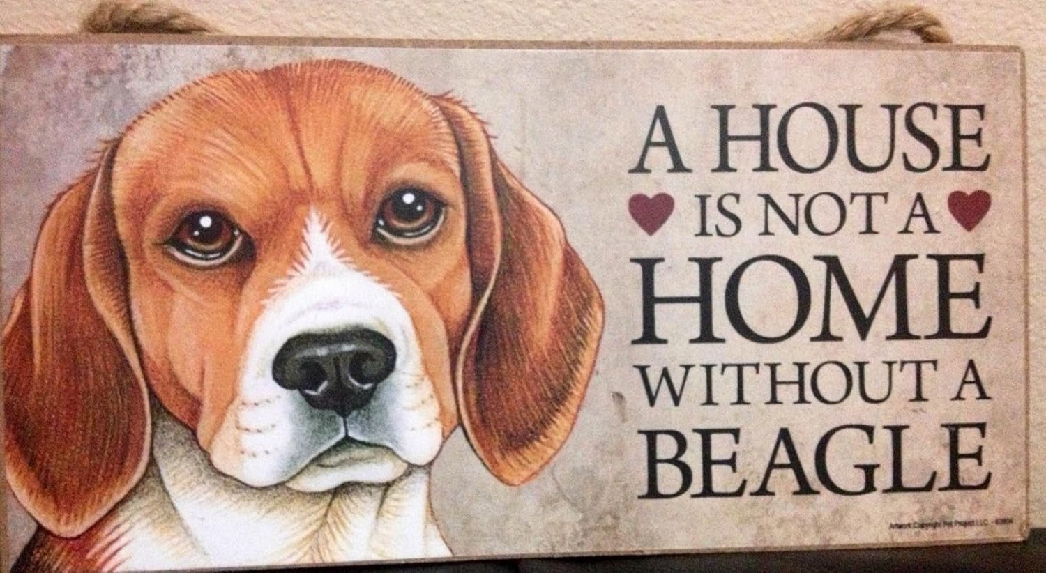 house beagle