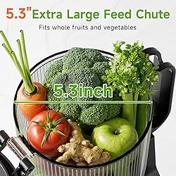 Cold Press Juicer, 5.3" Wide Feed Chute Juice