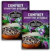 Comfrey Seeds - Symphytum Officinale - Perennial Medicinal Herb (2 Packs) | True Slippery Root for Compost Tea &amp; Natural Skincare - Non-GMO Heirloom Variety - Survival Garden Seeds
