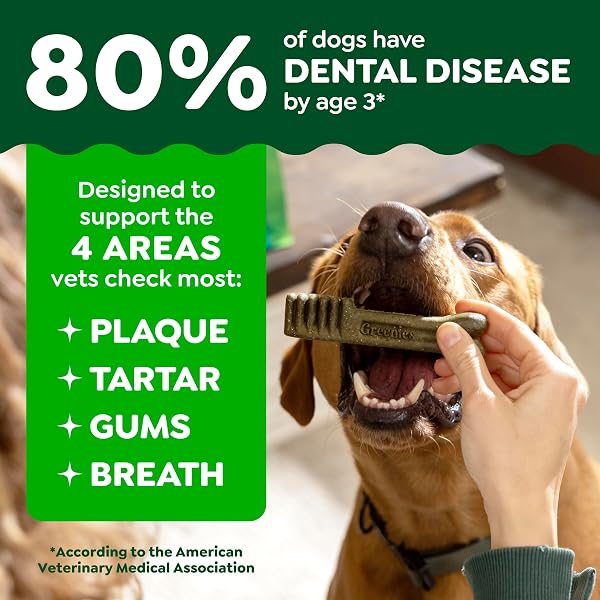 GREENIES VETERINARIAN-RECOMMENDED ADULT NATURAL DENTAL DOG TREATS REGULAR SIZE, DOG DENTAL CHEWS, ORIGINAL FLAVOR, 6 OZ. PACK, 6 COUNT