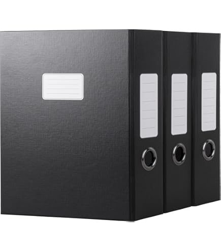 Amazon.com: Leitz Premium archive box with flap, 10 pieces, 100