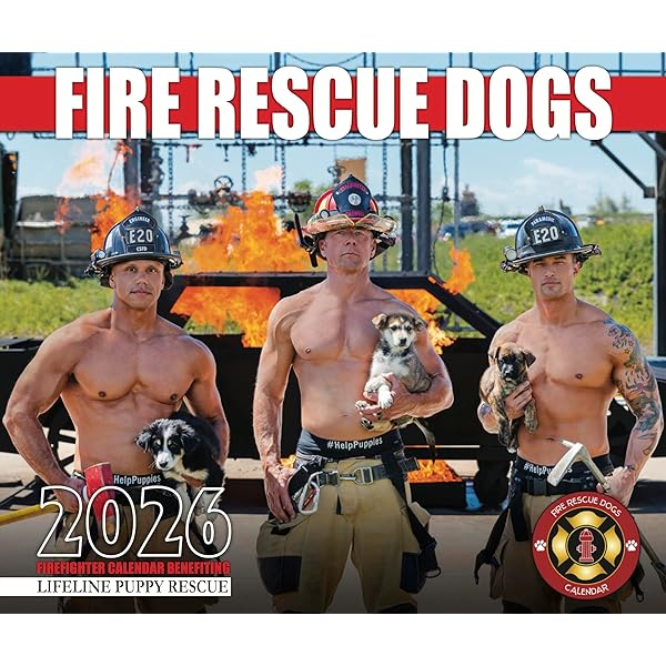 Calendario Vigili Del Fuoco 2024-2025 - 24 Mesi Da Gennaio 2024 A Dicembre 2025, Con Festivit&agrave; US, 17x22 Cm