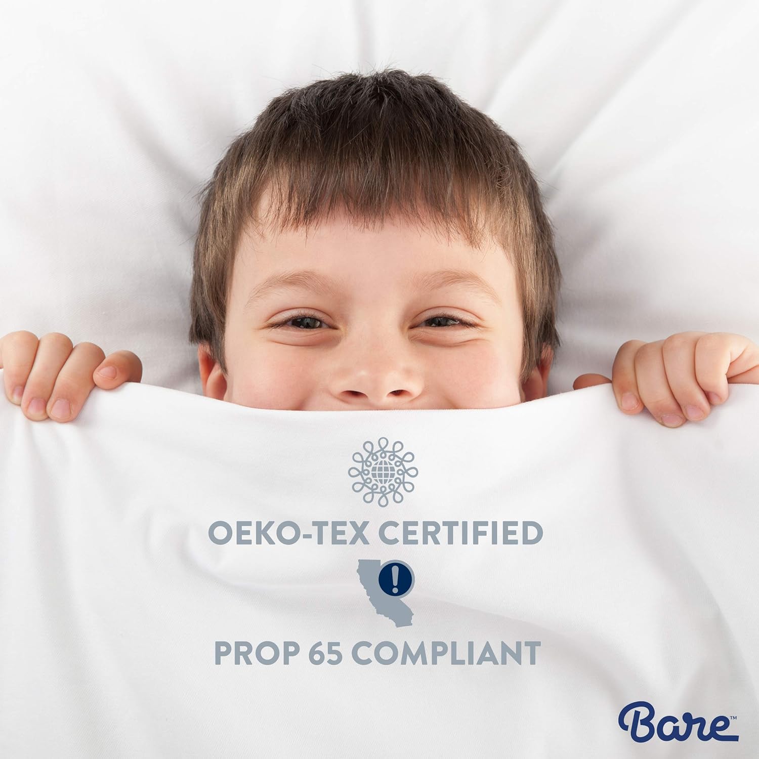 Bare Home Comforter Set - Queen Size - Goose Down Alternative - Ultra-Soft - Premium 1800 Series - Hypoallergenic - All Season Breathable Warmth (Queen, Light Grey): Home & Kitchen
