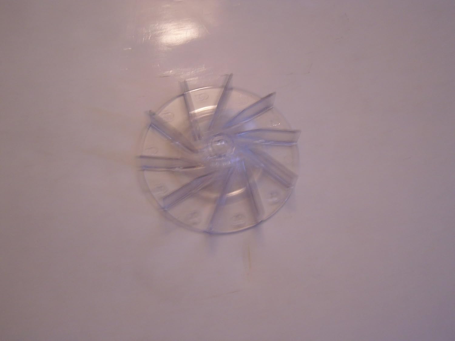 The 8 Best Eureka Fan