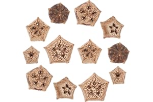 DIYEAH 12pcs Parrot Chew Natural Dried Fruit Foraging Bird for Parakeets Biting and Enrichment