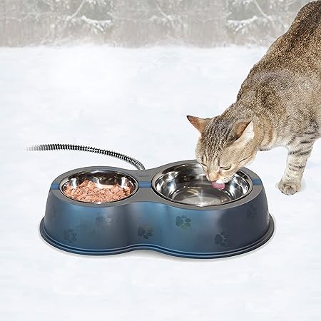 dog vomits yellow every morning