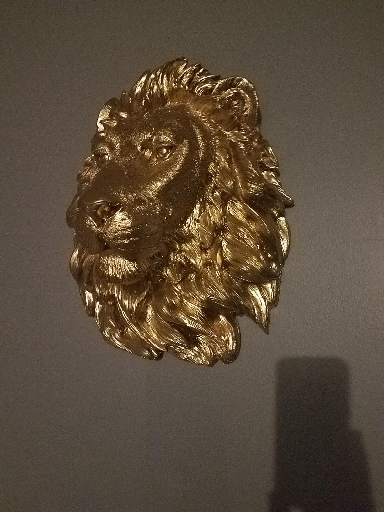 User review photo