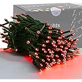 HOME LIGHTING 66ft Valentines Decorative Mini Lights, 200 LED Green Wire Christmas Fairy String Lights Plug in, 8 Lighting Modes, Waterproof for Indoor Outdoor Tree Wedding Party Decoration (Red)