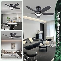 Modern Ceiling Fans with Lights and Remote/APP