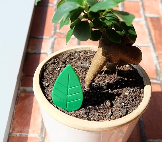Amazon アースガーデン 園芸用コバエ捕獲器 Botanice 土からわいたコバエ退治粘着タイ 4個入 園芸用害獣 害虫忌避剤 Amazon アースガーデン 園芸用コバエ捕獲器 Botanice 土からわいたコバエ退治粘着タイ 4個入 園芸用害獣 害虫忌避剤