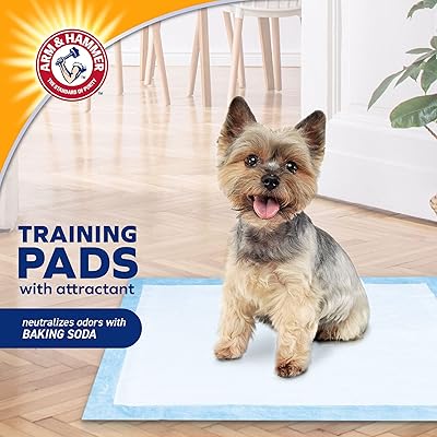 xl pee pads