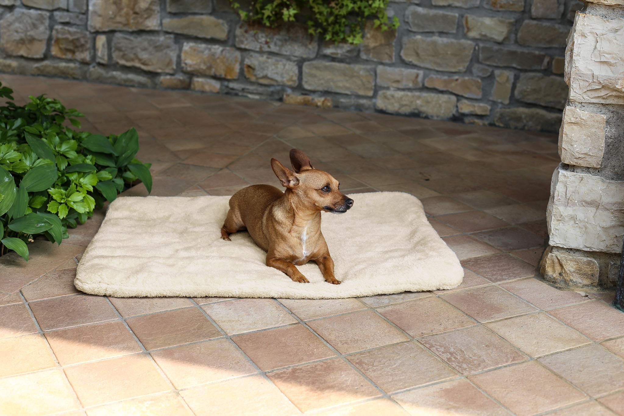 Sogni e Capricci Super Soft Mat, Cream, 104X75CM, Polyester, 104 x 75 cm