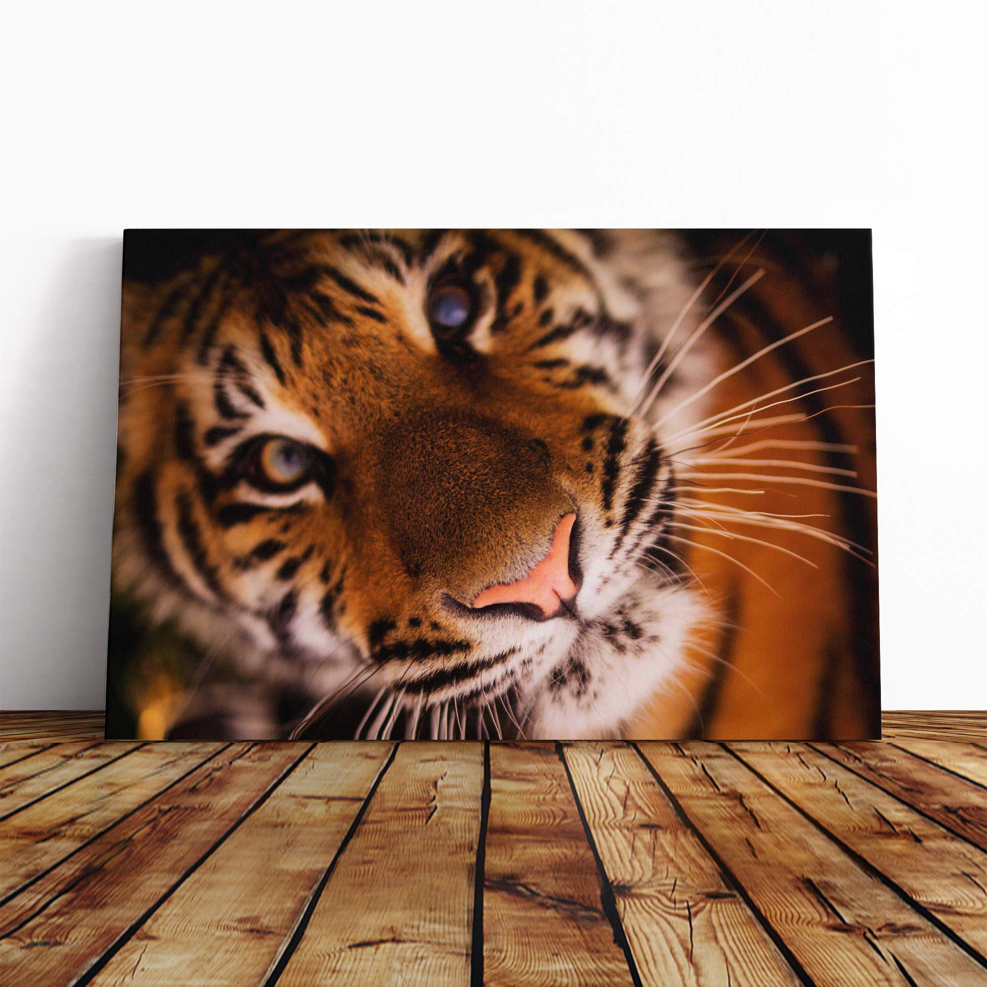 Tiger Vol.2 Canvas Print | Gallery Wrapped 30mm Frame Wall Art | 20x14 inches | Ready to Hang | Modern Animals Picture | Living Room Bedroom Lounge Office