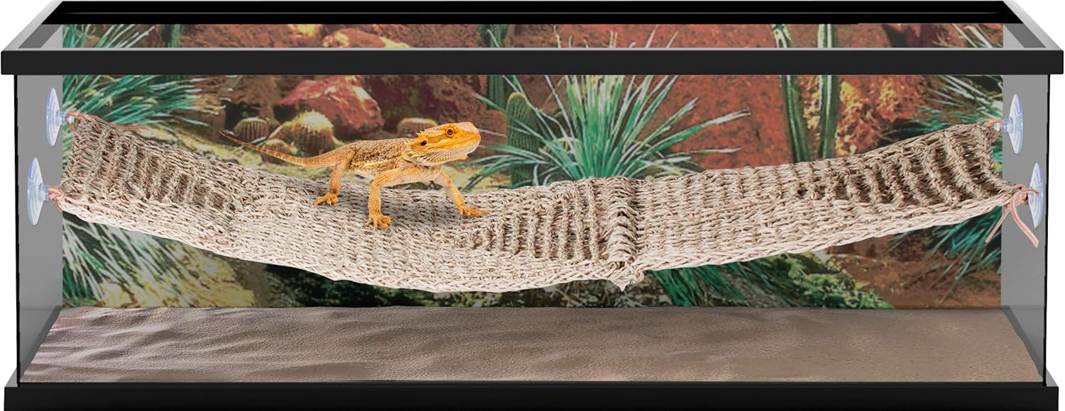 Penn-Plax Reptology Lizard Lounger Bridge for Bearded Dragons Iguanas, and Other Reptiles, 700 g, Extra-Extra Large - Image 4