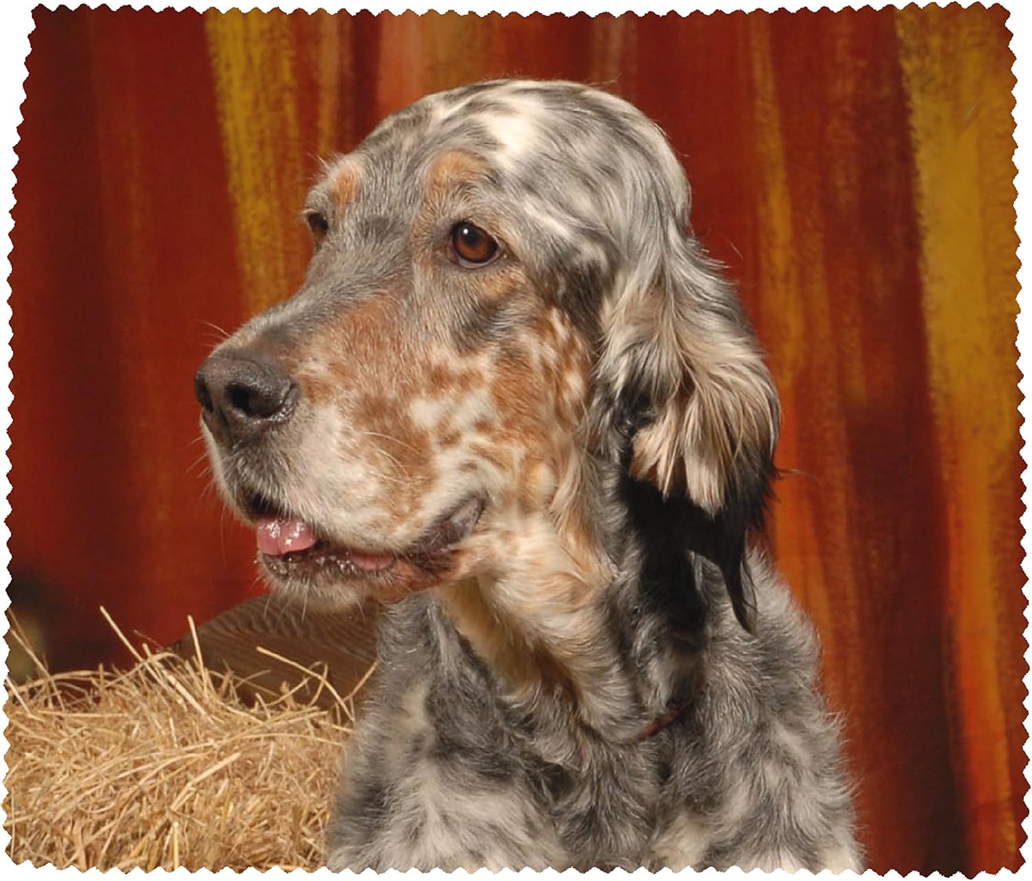 Amazon イングリッシュセッター犬ソフトマイクロファイバーメガネレンズスクリーンクリーニングクロスデザインno3 Starprint Sublimation 家電 カメラ