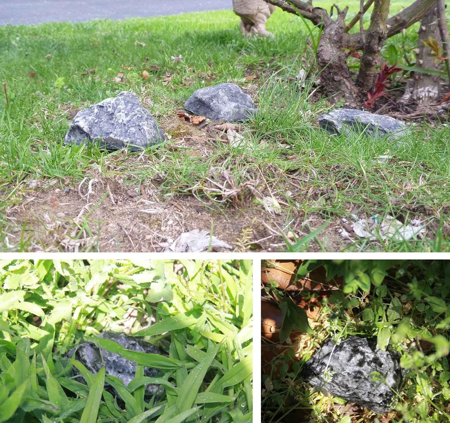 RamPro Hide-a-Spare-Key Fake Rock - Looks & Feels Like Real Stone - Safe for Outdoor Garden or Yard, Geocaching (1): Home & Kitchen