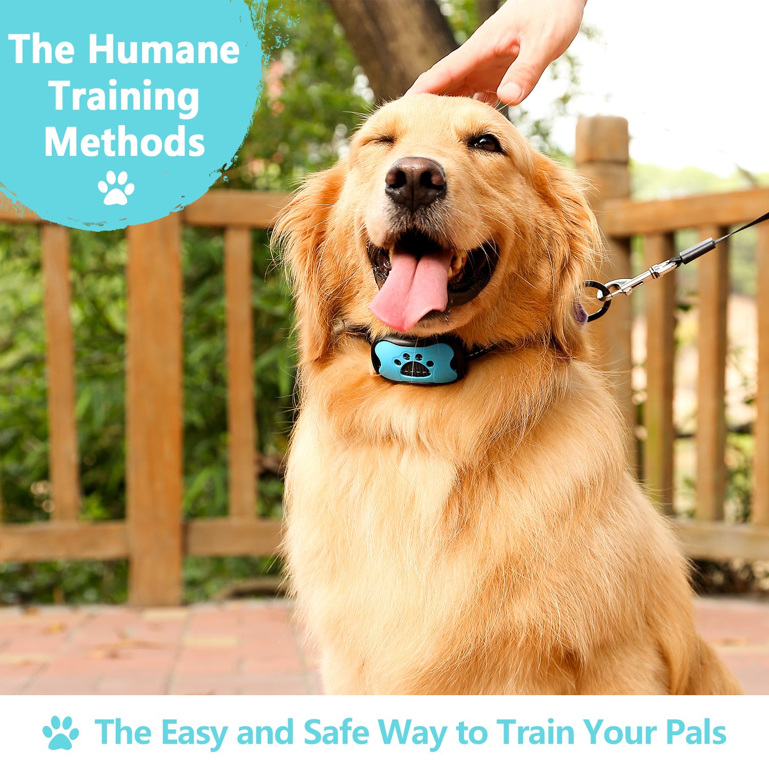 GoPetee Dog Anti Bark Collar Training with free LED light 7 Adjustable Levels No Bark Stop Puppy Barking Collar with Power On Off Auto Vibration Spare Batteries and Paw Shell Replacement Included for Small, Medium and Large Dogs