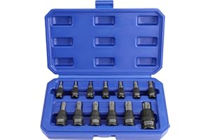 WORKPRO Torx Bit Socket Set, 1/4", 3/8" and 1/2" Drive Torx Bits 13-Piece Socket Set T8-T60, Premium S2 Steel Bits and CR-V Sockets with Storage Case