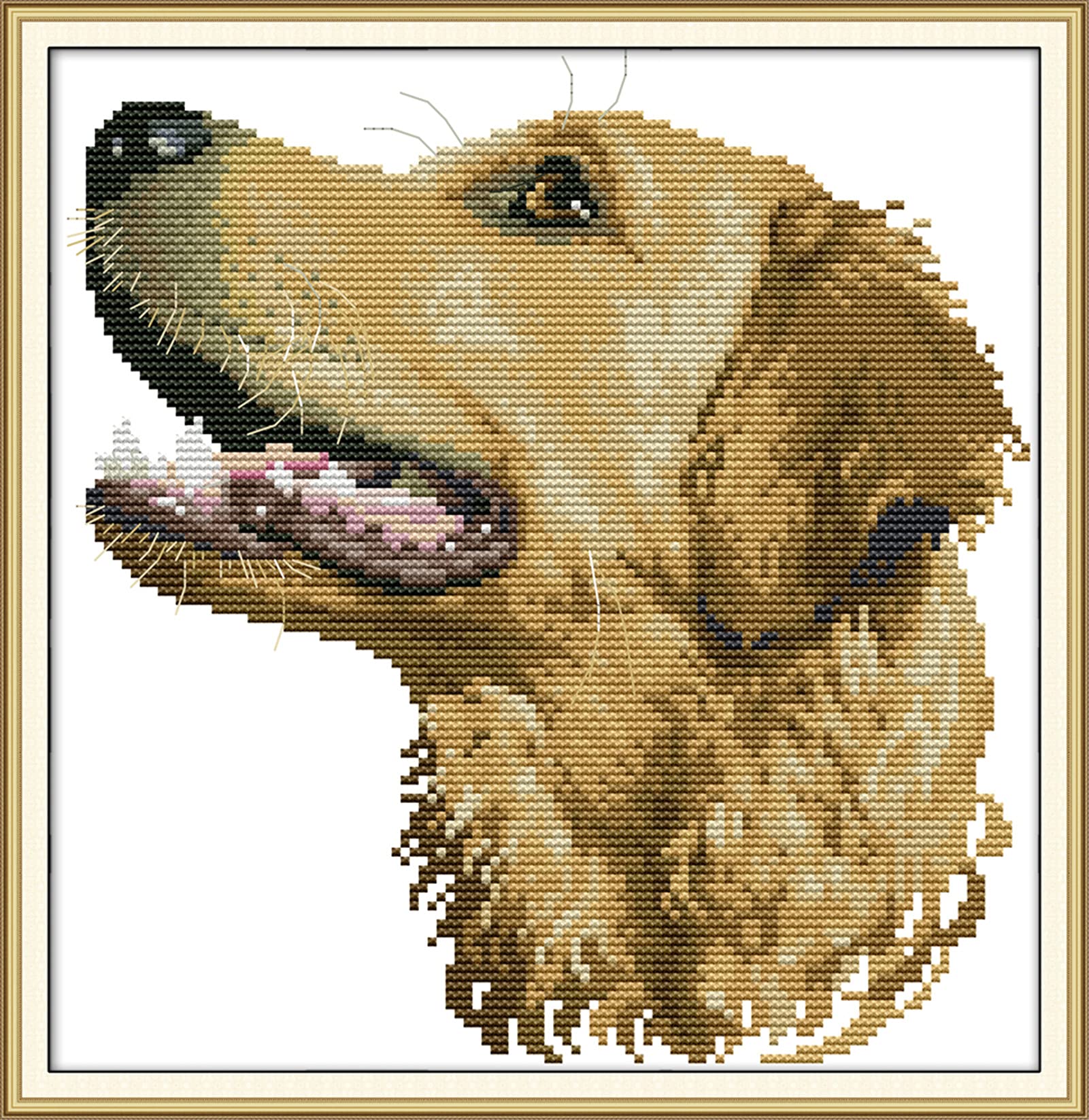 Amiiba Stamped Cross Stitch Kits, Animals Golden Retriever DIY 11CT 13.8x14.2 inch (Golden)