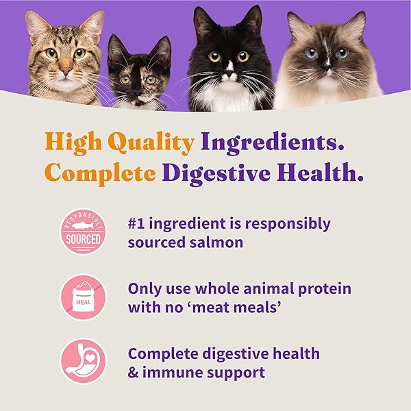 HALO HOLISTIC KITTEN FOOD, WILD CAUGHT SALMON & WHITEFISH RECIPE, GRAIN FREE DRY CAT FOOD, COMPLETE DIGESTIVE HEALTH, 6 LB BAG