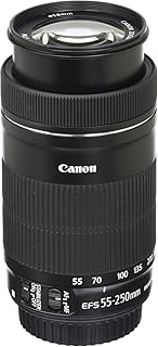 Canon EF-S 55-250mm f4.0-5.6 IS STM