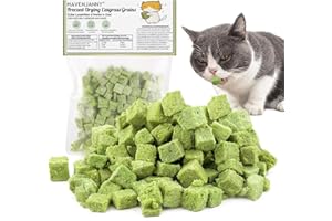 120g Cat Grass Treats, Freezed Dried Cat Grass Teething Stick Piece Snacks for Cats, Edible Cats Chew Toys for Teeth Cleaning