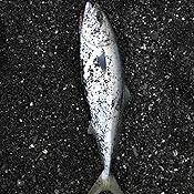 カスタマー画像