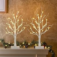 EAMBRITE 2 Pack Lighted Birch Tree, Christmas Artificial Tree Battery Operated Timer with 24 Warm White Lights, Tabletop Tree