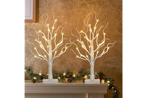EAMBRITE 2 Pack Lighted Birch Tree, Christmas Artificial Tree Battery Operated Timer with 24 Warm White Lights, Tabletop Tree