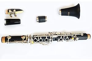 Funion E Flat Clarinet Set Case, Eb Key Grease, Cleaning Cloth, Reed