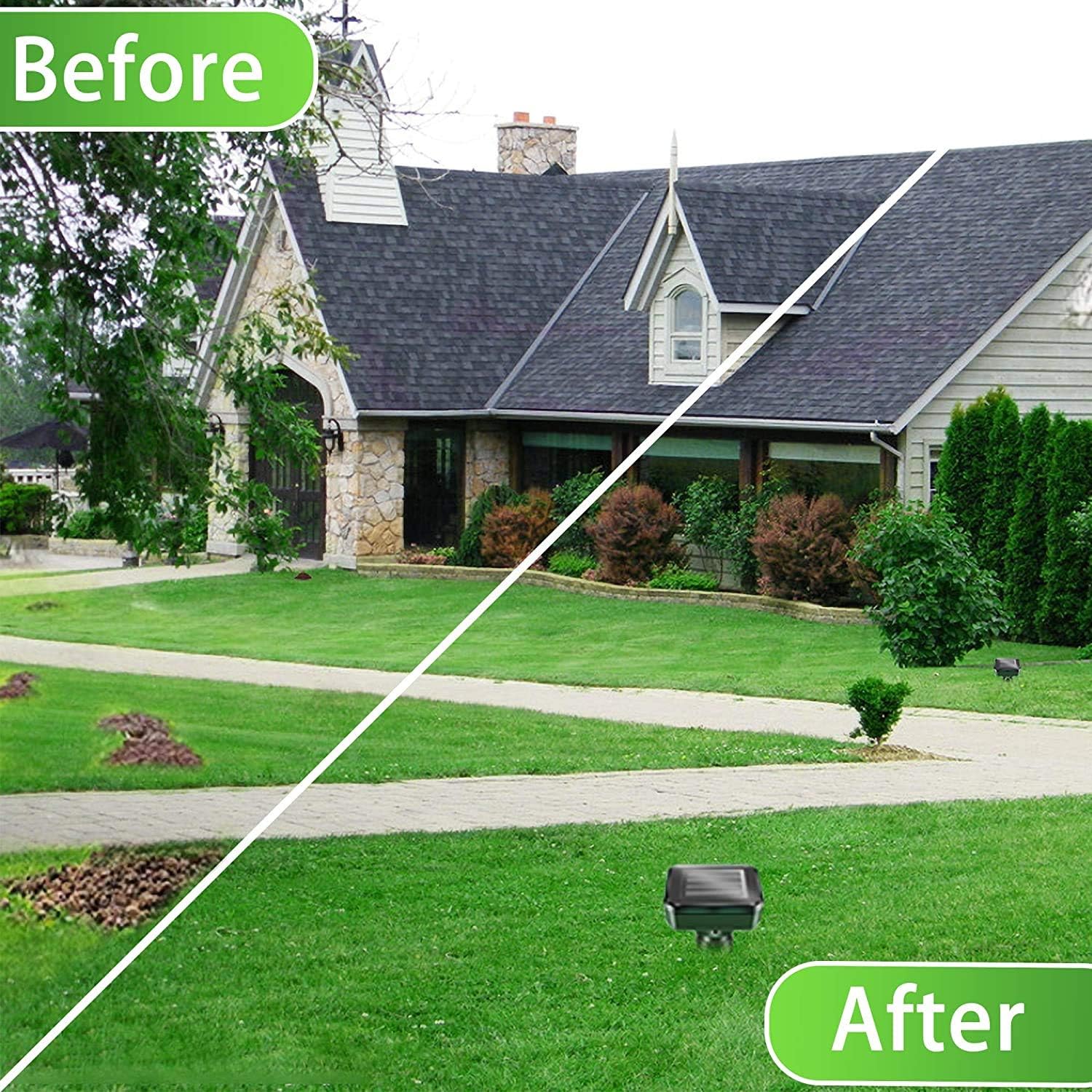 Groundhog and Mole Repellent Stakes – Solar Ultrasonic Pest Repeller for Outdoor Use – Pet Friendly Rodent Control Chases Away Snakes, Voles and Chipmunks with 400Hz Vibration (4 Pack): Health & Personal Care