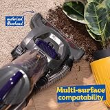 Russell Hobbs Athena2 Pet Upright Vacuum Cleaner 400W 2L Filtered view 5