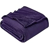 Hansleep Fleece Blanket Twin Size Purple, Soft Cozy Twin Fuzzy Flannel Lightweight Blanket for Bed, Sofa, Couch, Travel, Camping, Purple, 60x80 Inches