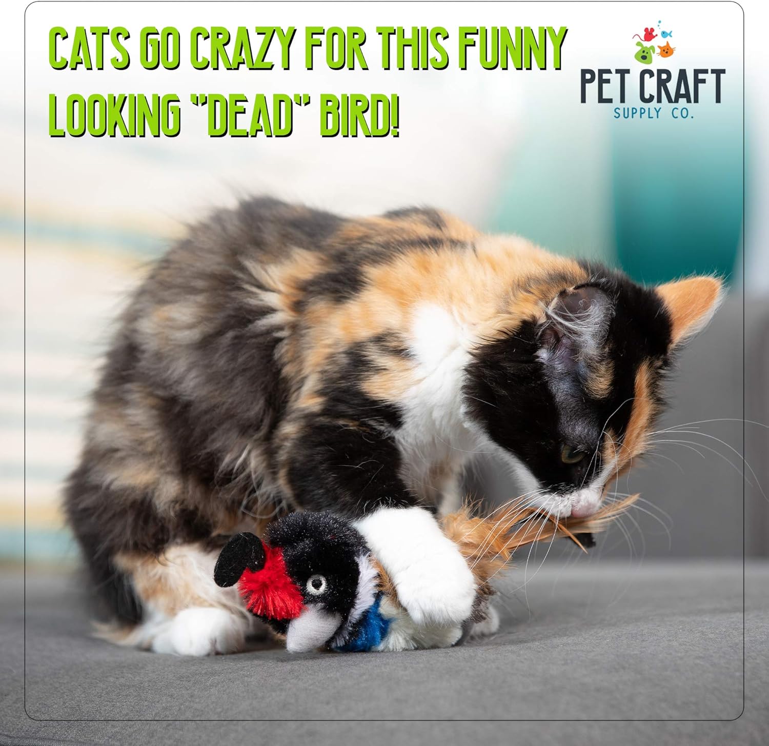 Pet Craft Supply Co. Batty Bird & Quirky Quail Funny Cuddling Chasing Irresistible Stimulating Soft Plush Boredom Relief Interactive Catnip Filled Cat Toy with Realistic Feathers 2 Pack : Pet Supplies