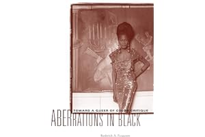 Aberrations in Black: Toward a Queer of Color Critique (Critical American Studies)