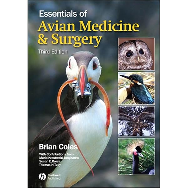 Amazon.com: Handbook of Small Animal Practice: 9780443088087