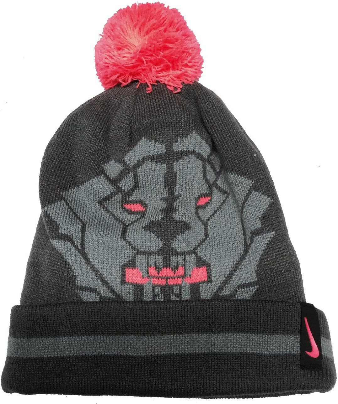 lebron beanie