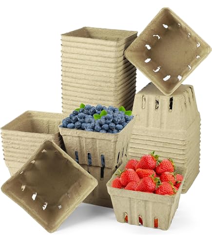 YINSHCO Molded Pulp Fiber Berry Baskets - 60 Pack, 1 Pint Ventilated Containers For Produce & Gifts