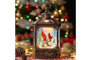 QUALDOUT Christmas Snow Globe Water Glittering Cardinal with Music, USB Lined/Battery Operated Lighted Lantern for Christmas Festival Decoration Gifts