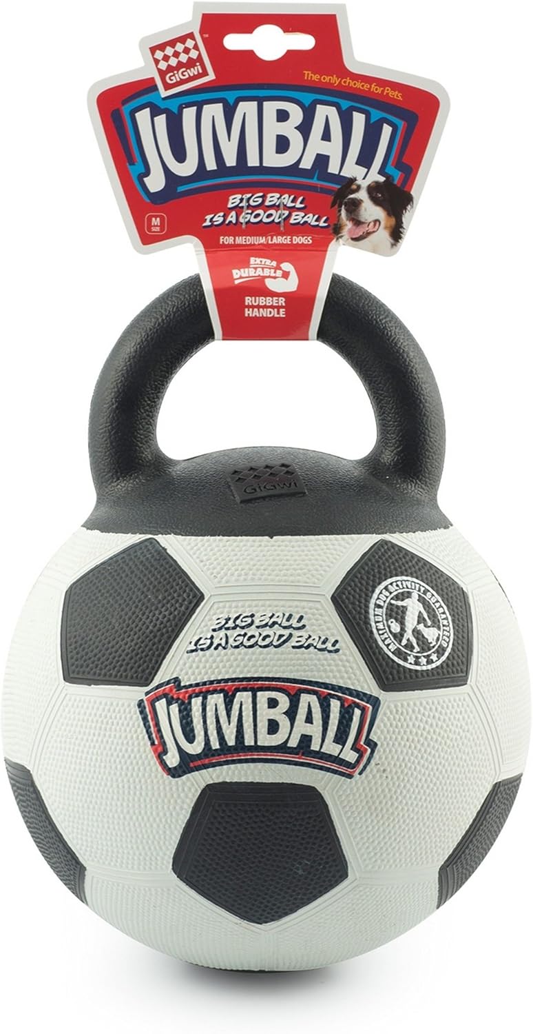 mexican crested hairless dog