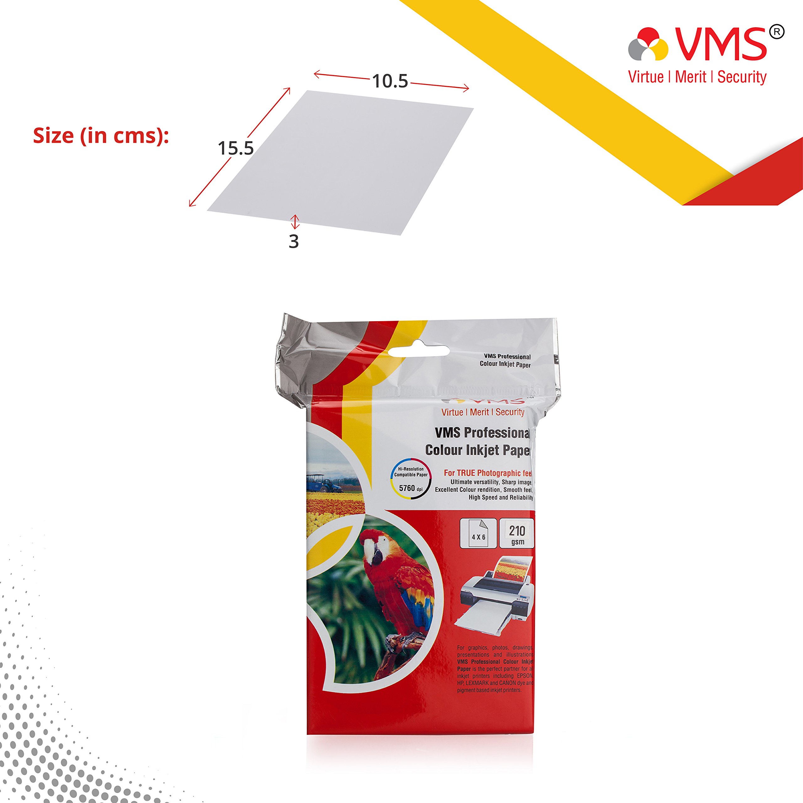 VMS Professional Colour CC (Cast Coated 