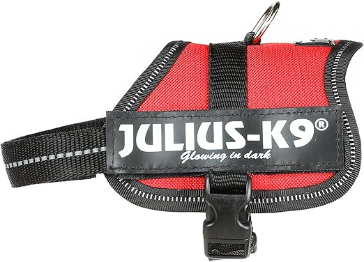 Julius-K9 Baby 2, 33-45 cm, Rojo: Amazon.es: Productos para mascotas