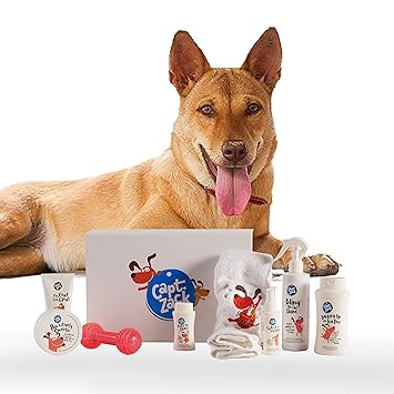 Captain Zack - The Indian Pariah Groom Box Ultimate 8-in-1, Head-to-Paw Groom-Kit for Your Dog - (Shampoo +Conditioner + Dry Shampoo + Paw Butter + Toy) - pH Neutral and Paraben Free