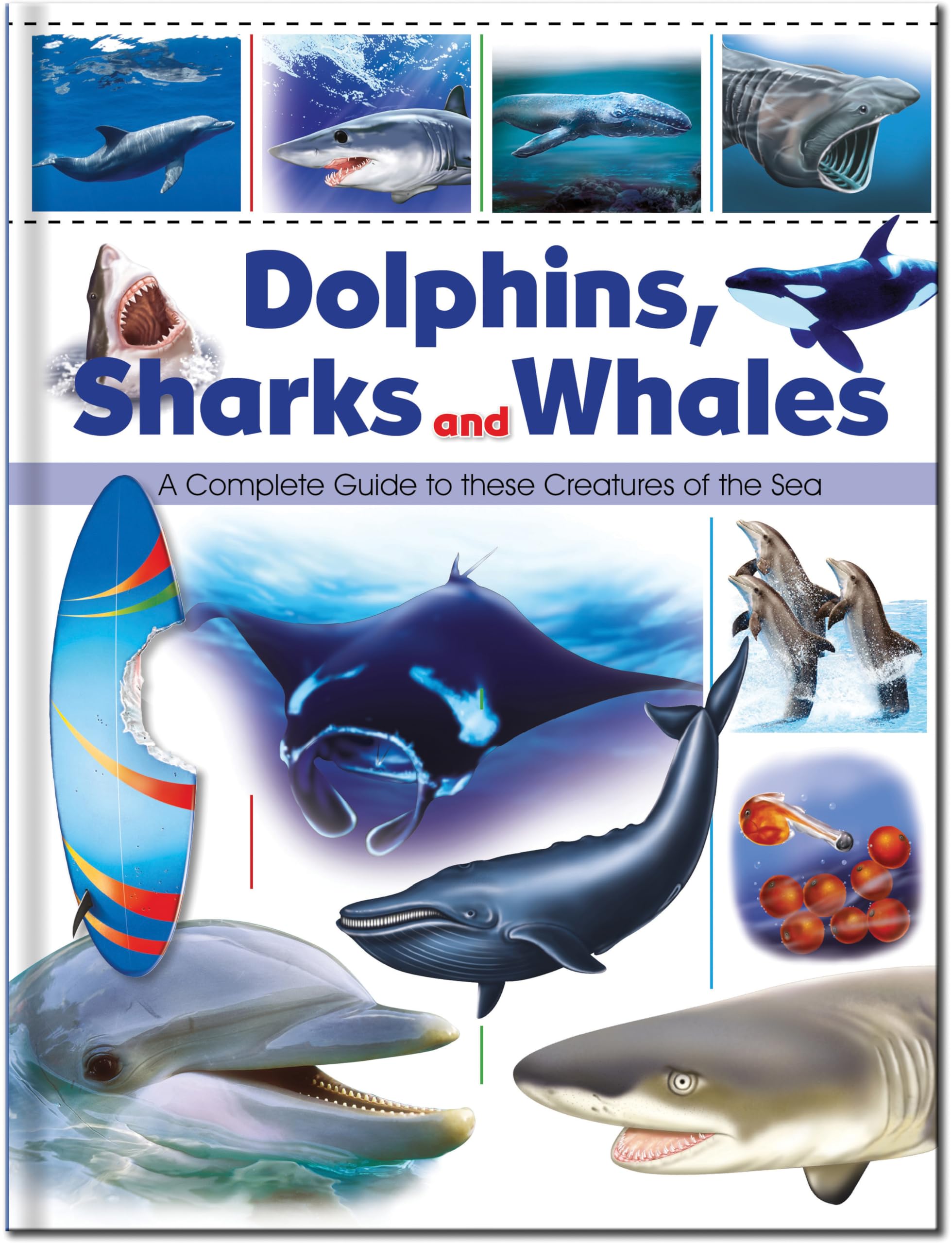 Dolphins, Sharks & Whales (Dolphins, Sharks & Whales Book Holo Foil Book)