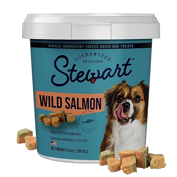 STEWART 100% WILD SALMON DOG TREATS, 9.5 OZ...